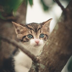 Meet your Posher, Maream